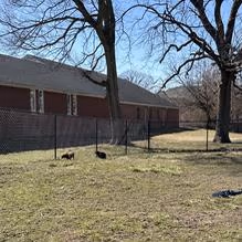 Dog Park at Union Friends Church photo 1